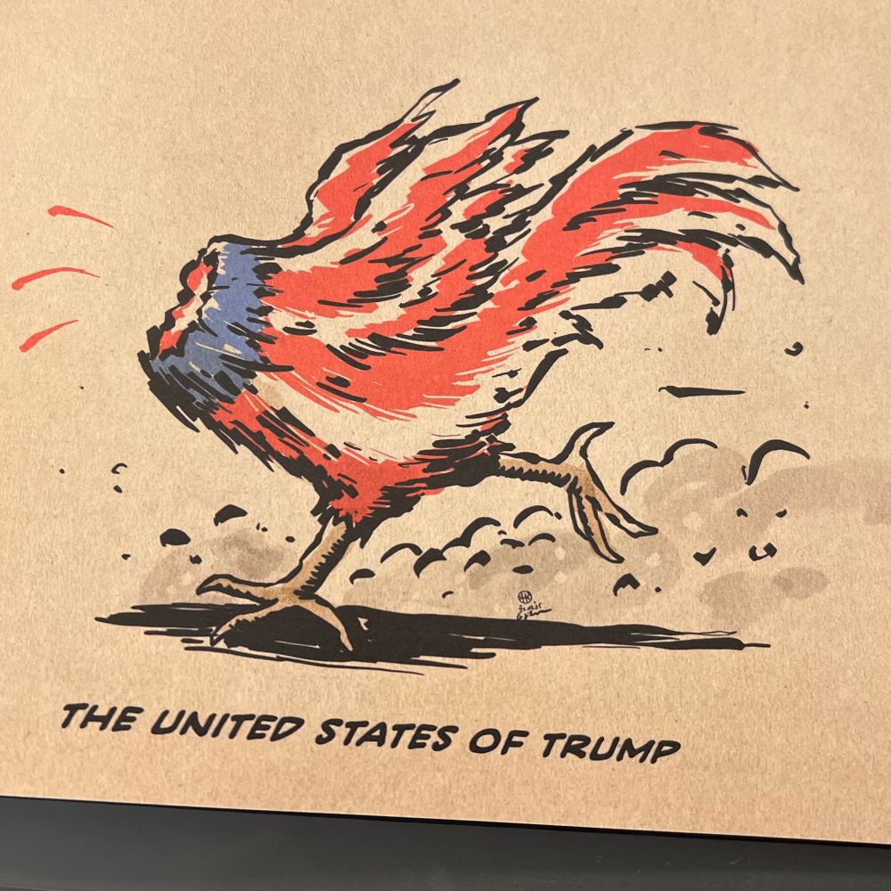 Zeichnung aus FIFTYSOMETHING, Ausgabe 19 von Guido Kühn:

Ein kopfloses Huhn in den Farben der amerikanischen Flagge ʼSTARS & STRIPES‘ rennt durchs Bild. Dabei wirbelt es eine mächtige Staubwolke auf.

Untertitelt ist es mit dem Spruch:

‘THE UNITED STATES OF TRUMP’