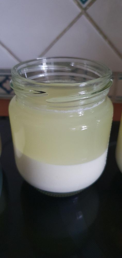 Yaourt qui a fait une phase, 3/4 petit lait, 1/4 truc plus solide qui ressemble à du yaourt 
On va pas goûter pour décrire précisément, Déso pas Déso 