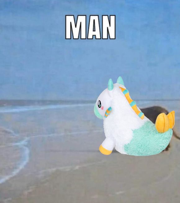 an edited version of the “man” meme of a horse on the beach with a caption at the top that reads: MAN. there is an image of a plush hippocampus edited over the horse.