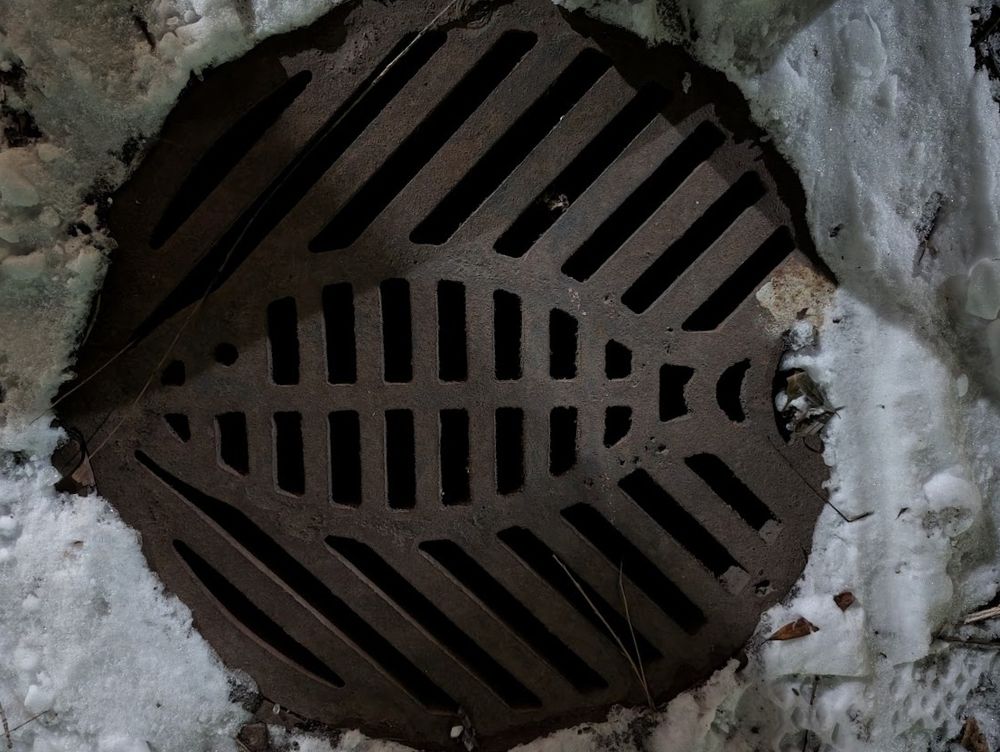 A storm sewer grate surrounded by packed, icy snow. The bars have been cast into the shape of a fish on its side.
