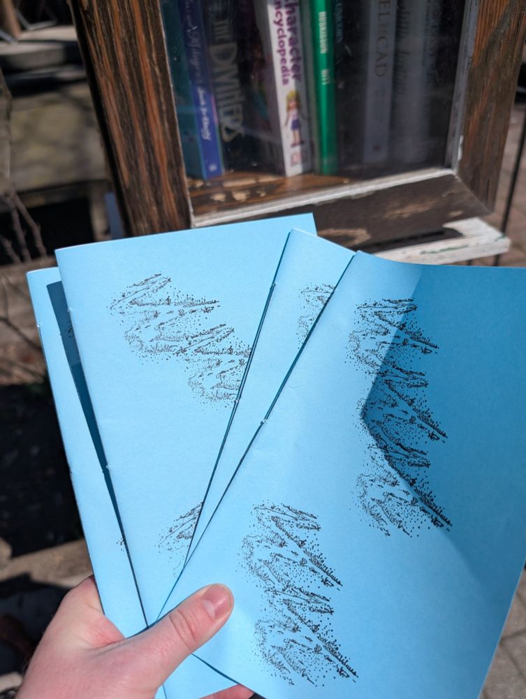 Someone holding a handful of zines in front of a Little Library on a sunny day