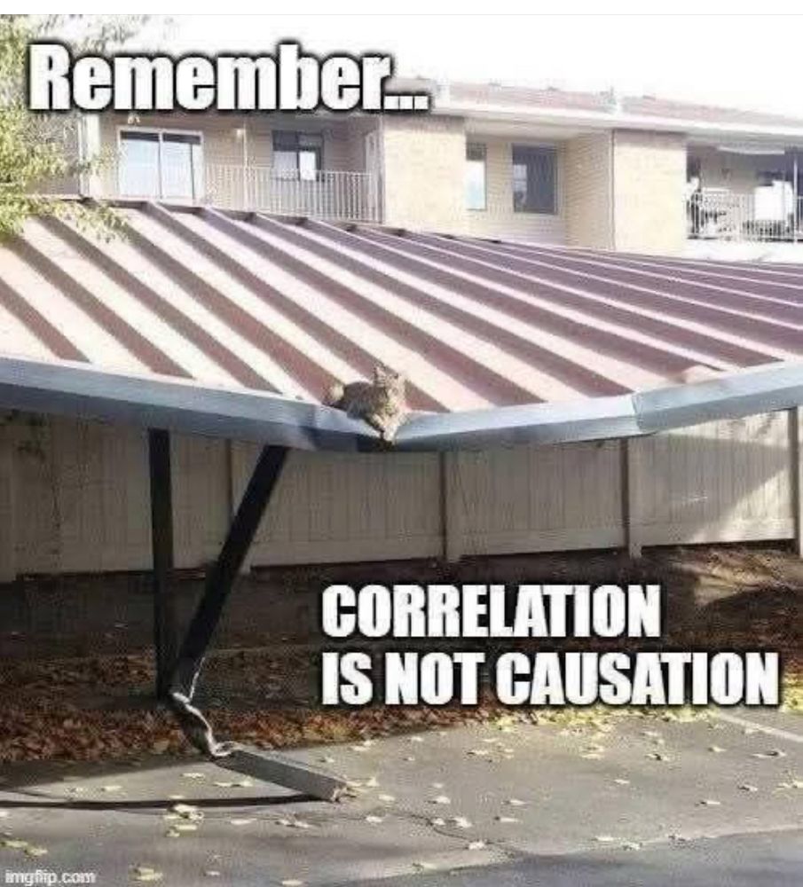 Cat on collapsed carport roof. 