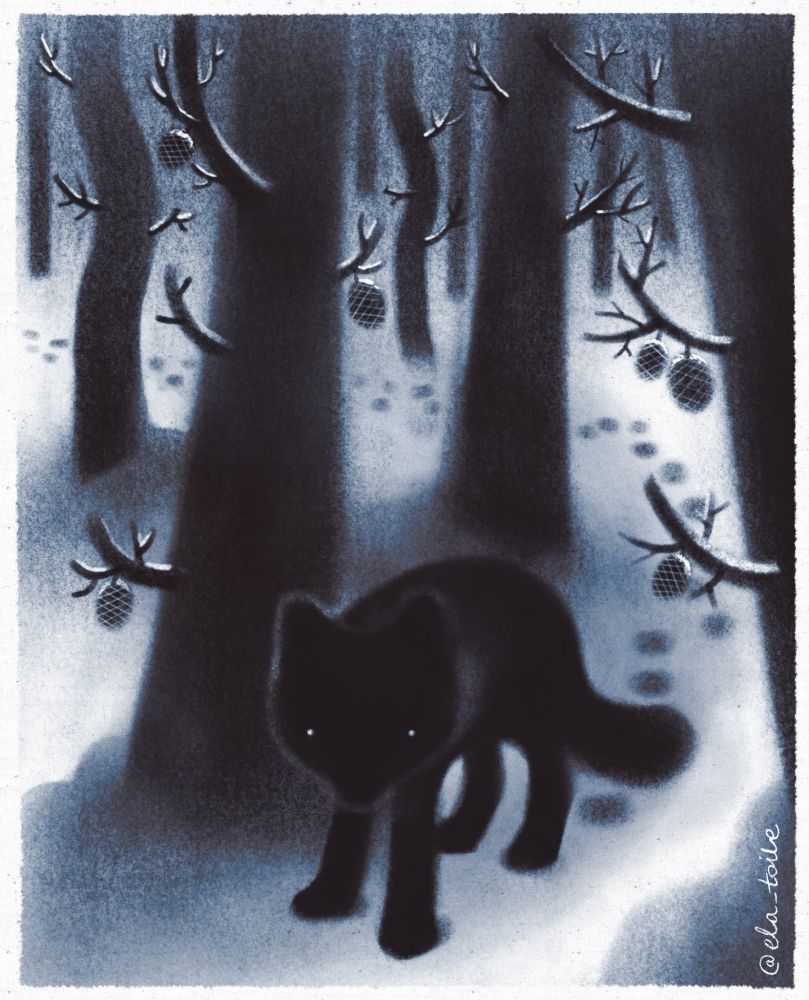 A digital drawing, done with a charcoal texture brush. The colors are muted, black and white, with splashes of cool tone blue. A depiction of a snowy forest, dense trees blocking most of the view. A black fox approaches, leaving footprints in the snow. His fur is black and poofy, eyes pinpoint white, staring right at the viewer. 