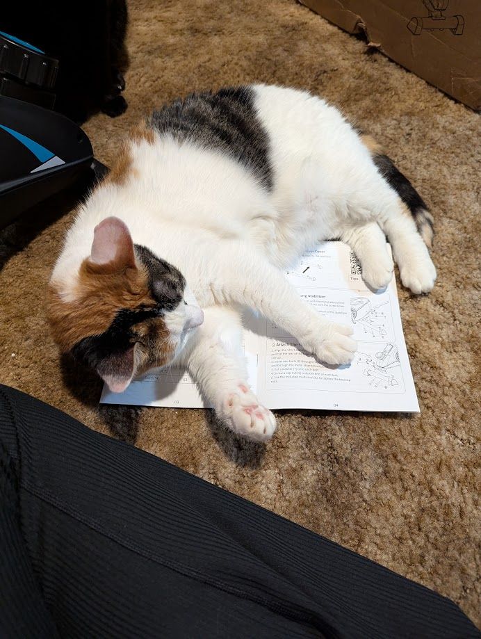 Small calico cat has curled up exactly on top of the directions for the under desk bike I'm trying to assemble.
