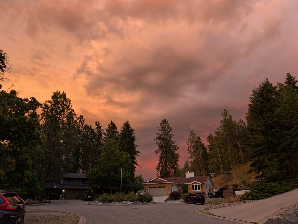 Sunset as a storm approaches. Orange, deep blue and gray sky behind houses and pine trees. 