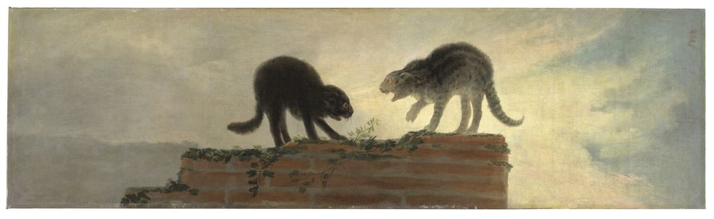 Riña de gatos, Francisco de Goya. 1786.
Óleo sobre lienzo (cartón para tapiz).
Museo Nacional del Prado.

Dos gatos, con la piel erizada y el lomo arqueado, destacando contra la claridad de las nubes, bufan y se enfrentan en lo alto de un ruinoso muro de ladrillo.