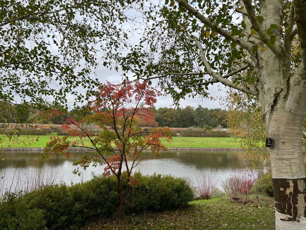 Autumn foliage and birch bark in the foreground, the lake and walled garden in the background
