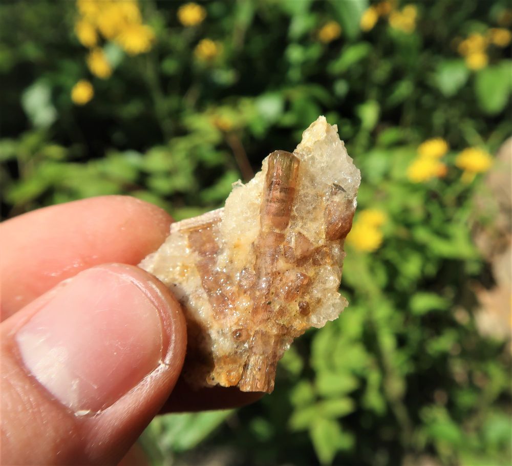 bicolor Andalusite crystals in quartz