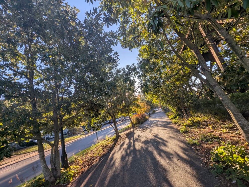 Trail walk James River trail