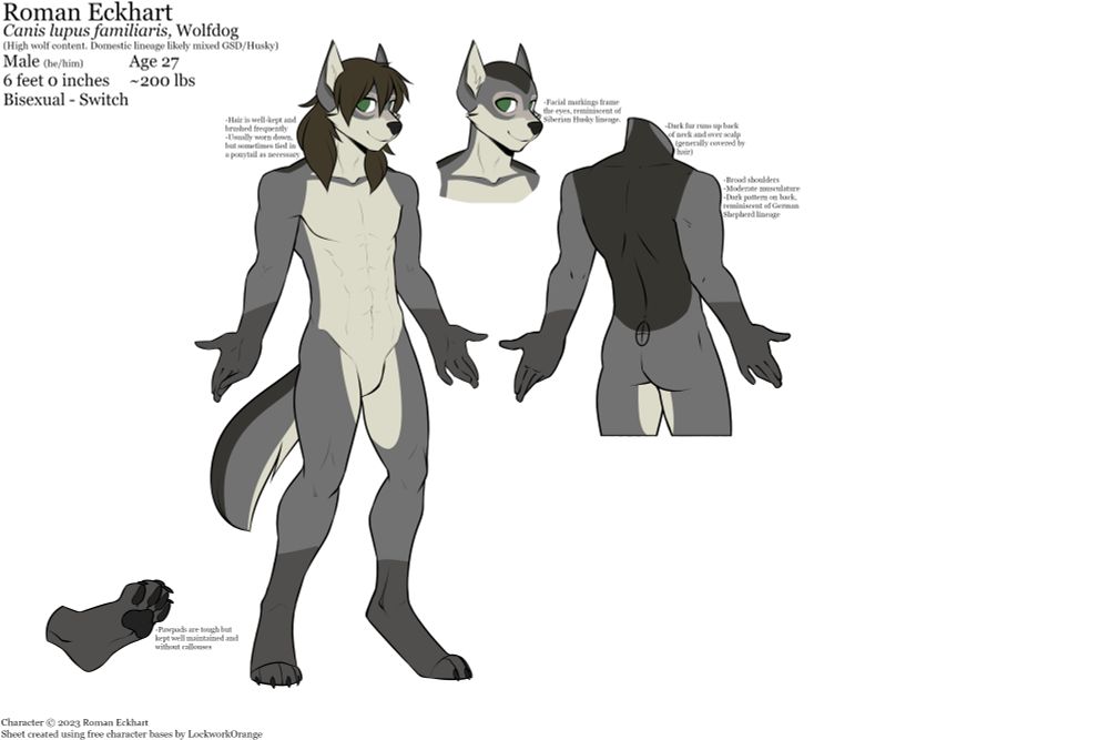 A work-in-progress reference sheet of Roman. Notes are scattered over various parts of the sheet:

Roman Eckhart
Canis lupus familiaris, Wolfdog
(High wolf content. Domestic lineage likely mixed GSD/Husky)
Male (he/him) Age 27
6 feet 0 inches ~200 lbs
Bisexual - Switch

-Hair is well-kept and brushed frequently
-Usually worn down, but sometimes tied in a ponytail as necessary

-Facial markings frame the eyes, reminiscent of Siberian Husky lineage.

-Dark fur runs up back of neck and over scalp (generally covered by hair)

-Broad shoulders
-Moderate musculature
-Dark pattern on back, reminiscent of German Shepherd lineage

-Pawpads are tough but kept well-maintained and without callouses

Character © 2023 Roman Eckhart
Sheet created using free character bases by LockworkOrange