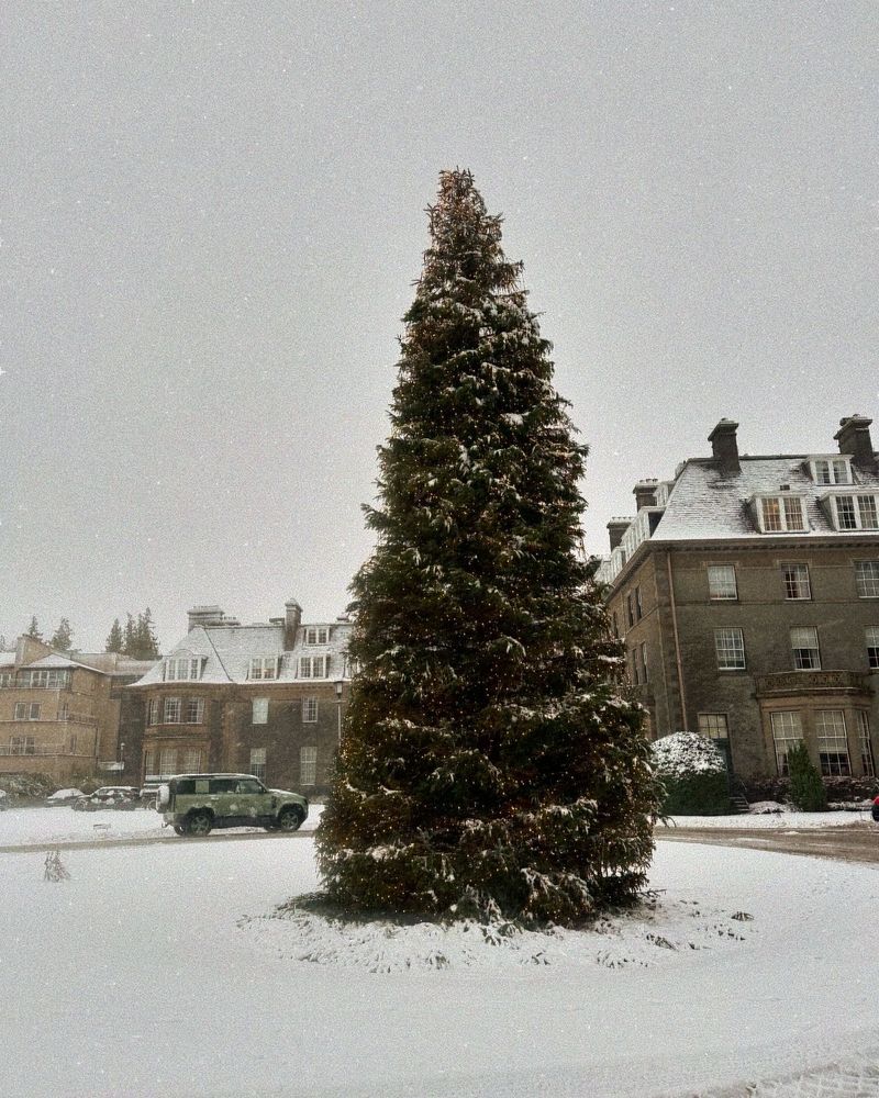 A huge Christmas tree outside the Gleneagles Hotel. The ground is covered in snow and there is a Land Rover in the background.