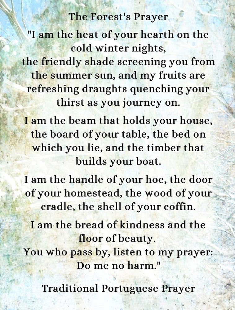 The Forest's Prayer - "I am the heat of your hearth on the cold winter nights, the friendly shade screening you from the summer sun, and my fruits are refreshing draughts quenching your thirst as you journey on. I am the beam that holds your house, the board of your table, the bed on which you lie, and the timber that builds your boat. I am the handle of your hoe, the door of your homestead, the wood of your cradle, the shell of your coffin.  I am the bread of kindness and the floor of beauty. You who pass by, listen to my prayer:  Do me no harm." Traditional Portuguese Prayer