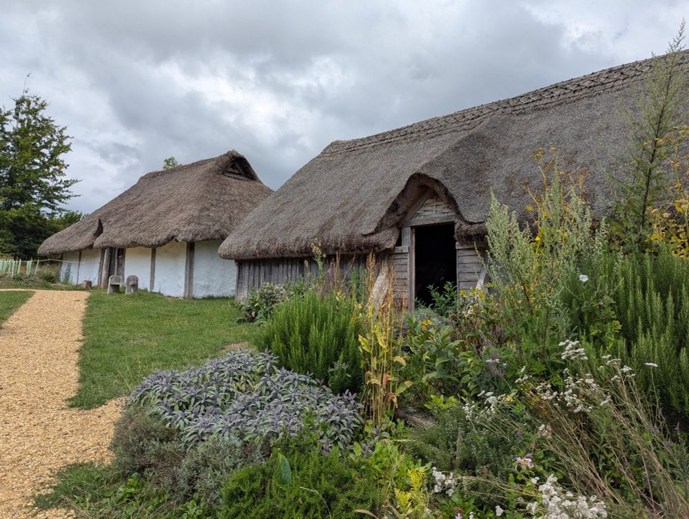 Two Saxon halls