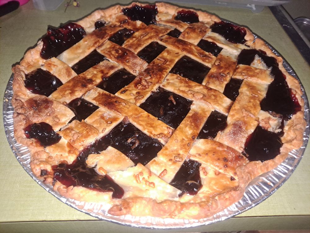 A sad blackberry-rose pie with broken overbaked lattice crust.