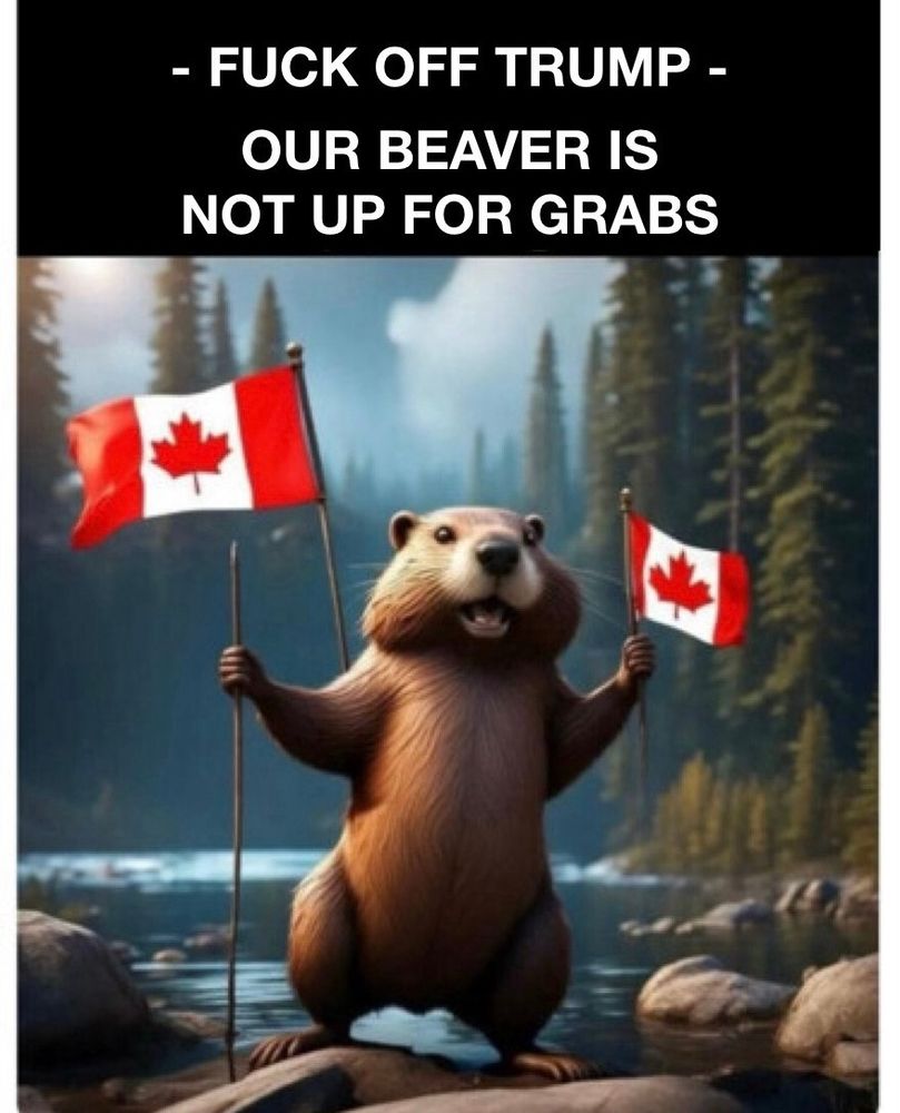 A beaver holding Canadian flags in each of his hands/paws, in front of a beautiful river in the forest.  It’s captioned “Fuck off Trump - Our beaver is not up for grabs”