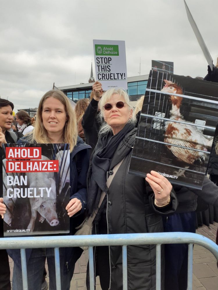 Foto's van kippen en varkens in erbarmelijke omstandigheden, en tekst: "Ahold Delhaize: Ban Cruelty"
