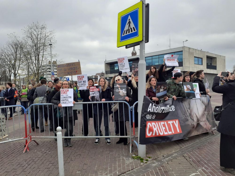 Protest tegen Ahold Delhaize in Zaandam met oproep te stoppen met wreedheid tegen dieren.