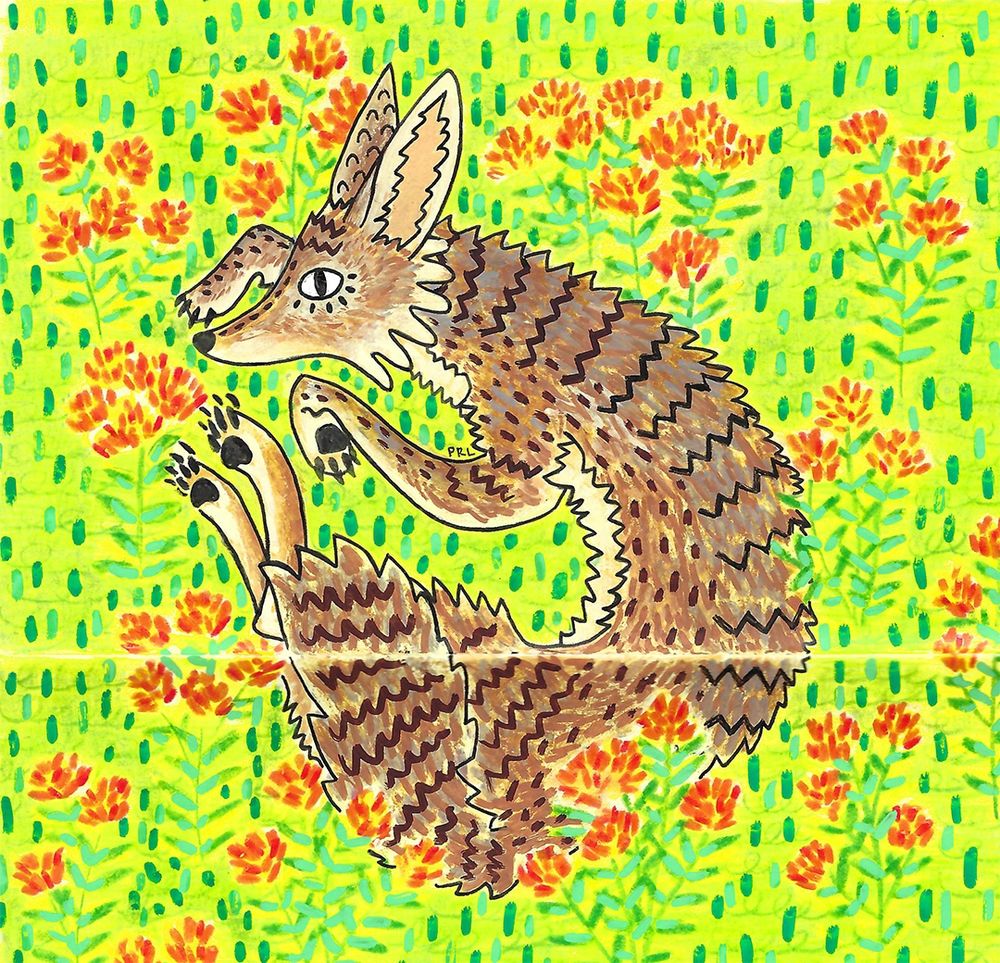 Description: A sketchbook drawing featuring a stylized coyote laying down. The coyote is surrounded by bright green grasses and orange butterfly weed. 

Materials: colored pencils, acrylic markers, micron pens, white gel pen, fountain pen. 