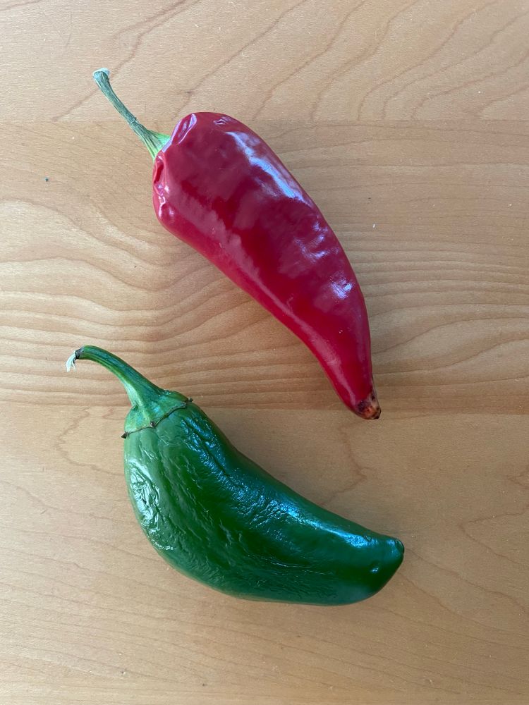 A bright red Fresno pepper and a green jalapeño on a kitchen table. 