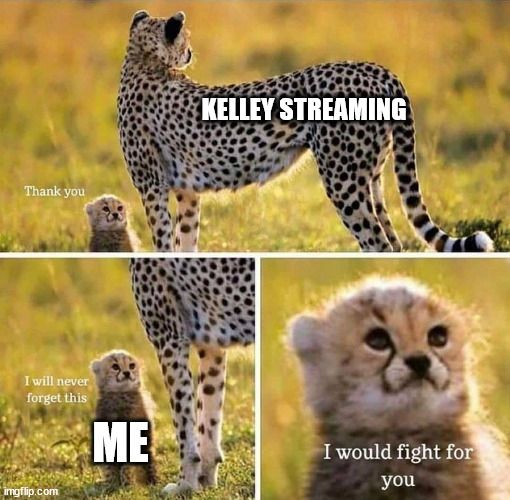I would fight for you cheetah meme