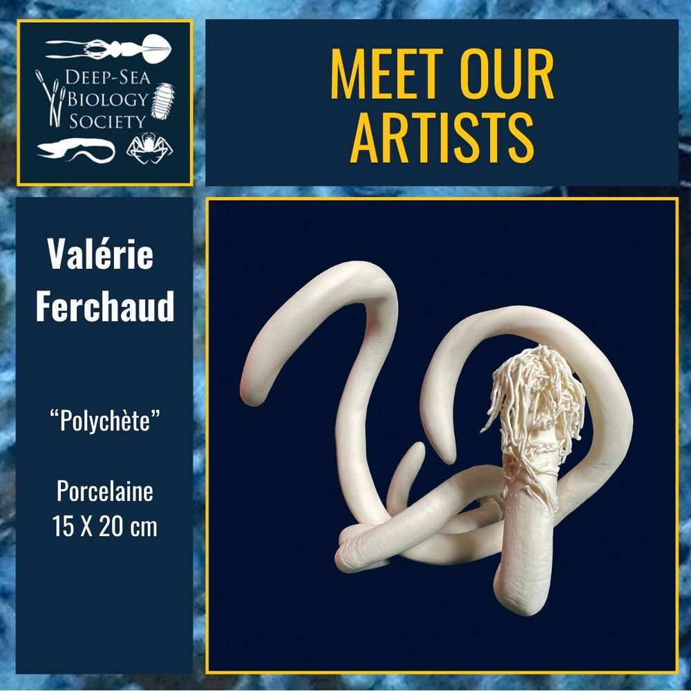 Presenting Valérie Ferchaud with a white, 15X20 cm ceramic Polychaete. A graceful way to present this enigmatic creature.

Artist statement:

“Attracted by the depth, I was able to continue experimenting with a creation using mixed techniques to try to express what I understood, learned from a dialogue that I found fruitful and unexpected with scientists. I wanted to share my vision. I had a lot to learn from the work of researchers in their understanding of the world of the abyss, so unknown to me and to most of the people around us. I think there's no better way than to listen to them, watch them work and, at the same time, see what my eye as a photographer and ceramist can see.... After several residencies in the Ifremer laboratories (BEEP - GEOCEAN) in 2022, I was able to digest the information and work on an exhibition entitled ‘The abyss, where life is invented’ as part of the Ressac 2024 festival (art & science) in collaboration with Sylvie Salmon (painter), which enabled us to capture what our eyes say about a world that is both dark and luminous. Together, we can aspire to express the poetry of a living world and of vast, ignored mountainous spaces, to discover and share the beauty of the oceans and our earth. 
My interest in the abyss is leading me to create new works in the future, and I hope to meet other researchers and why not go on an expedition with them?”
