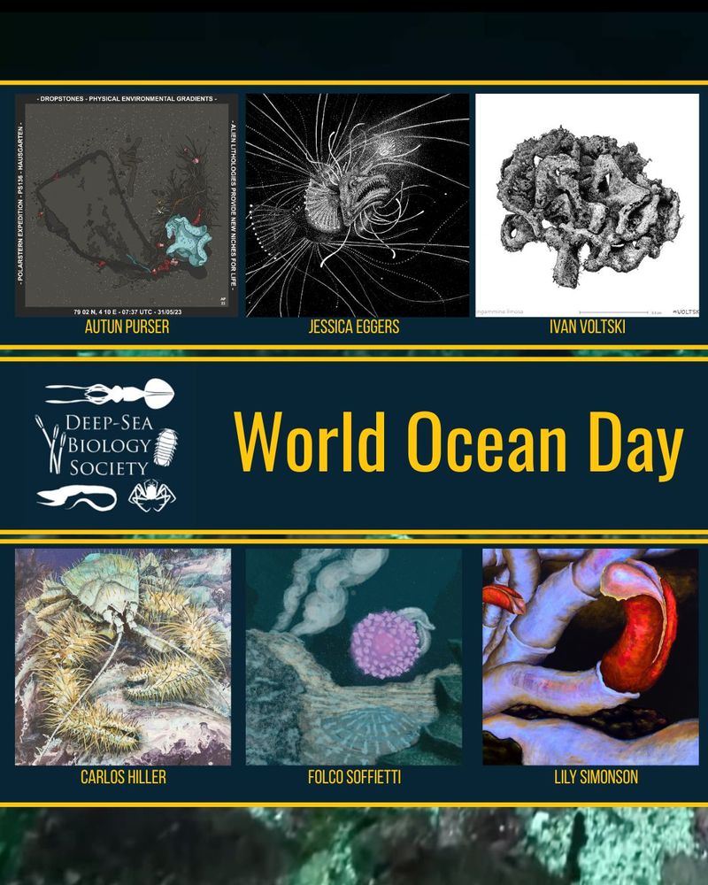 Celebrating World Ocean Day with some Deep Sea art made by DSBSoc-artists. We are all inspired by the deep sea and the science that helps us understand it.
Together, we dive into the unknown and bring the deep to the surface — through color, texture, and imagination.