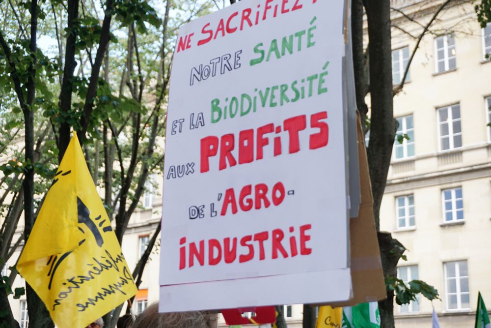 J'étais hier aux côtés des paysans, associations et citoyens mobilisés contre la loi Duplomb avant son vote.

Pour plaire au lobby de l'agrobusiness, RN, macronistes et LR ont voté pour ce texte et préféré empoisonner la biodiversité et prendre le risque de nouveaux cancers !