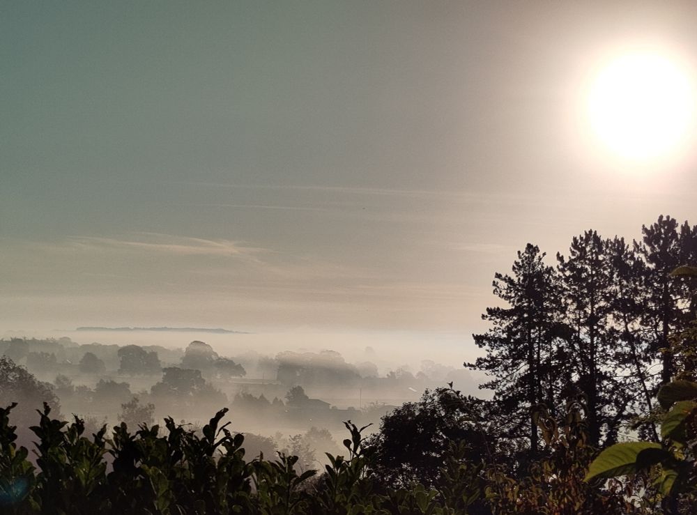 Mist in a valley with a hill poking through in the distance. Pine trees and misty sun on the right 