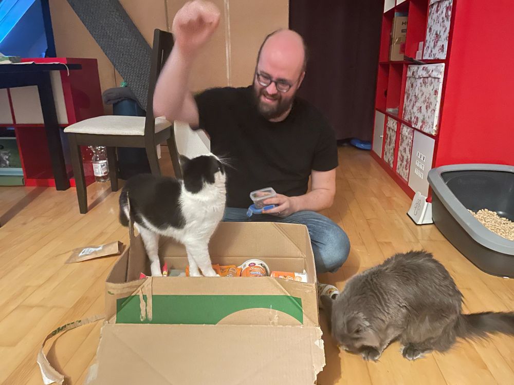 A black and white short-haired cat and a grey medium-haired cat help a human open a box of cat treat packets.