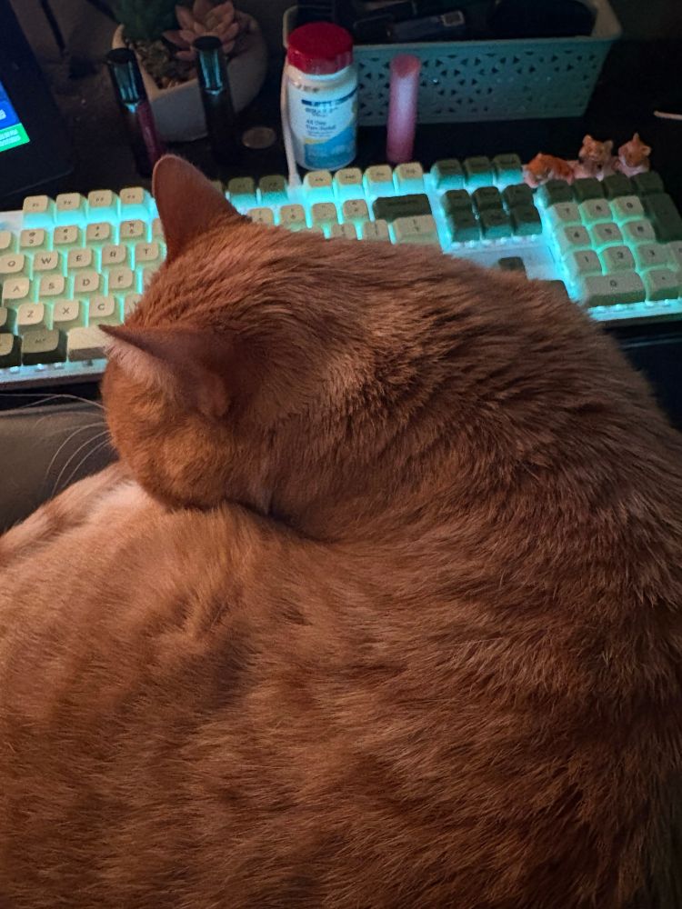 An orange cat curled up on top of a wrist rest blocking access to a green lit up keyboard. 