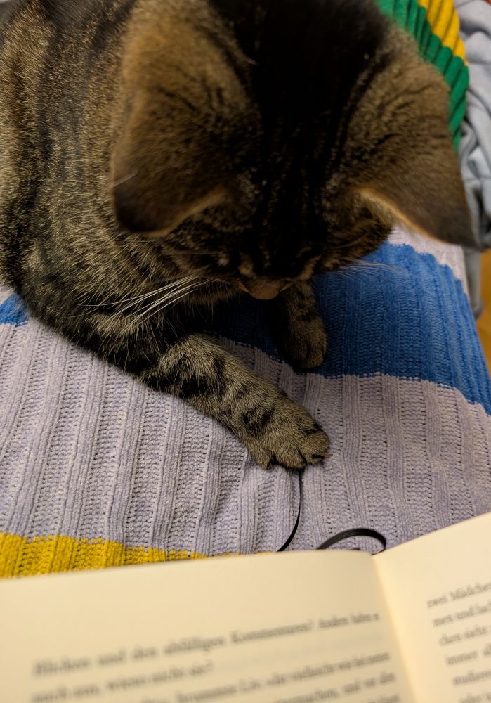 eine Katze spielt mit dem Lesezeichen eines Buches. 