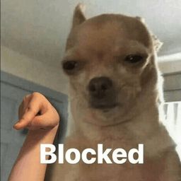 a tan chihuaua squinting at something off screen and to the left, with a small human hand photoshopped to its left dramatically pointing down in the same direction as his line of sight. at the bottom of the image is the word BLOCKED in white.