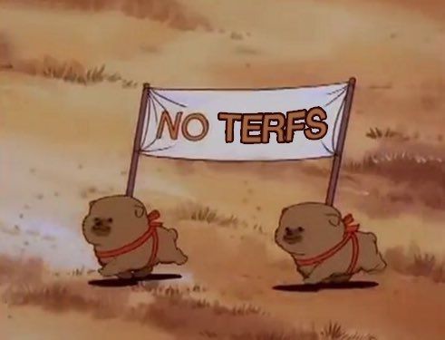 two of the most adorable little brown dogs you've ever seen trotting merrily through brown grass--they're carrying a little white banner held up by two small sticks that says "NO TERFS"