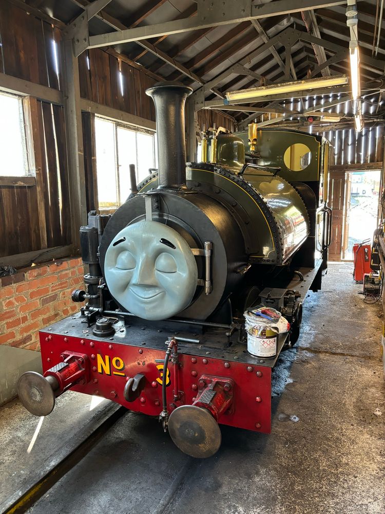 Sir Haydn snoozing peacefully in the shed at Pendre.
