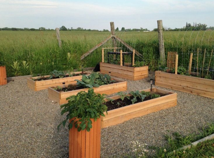 Raised bed cedar box gardens 