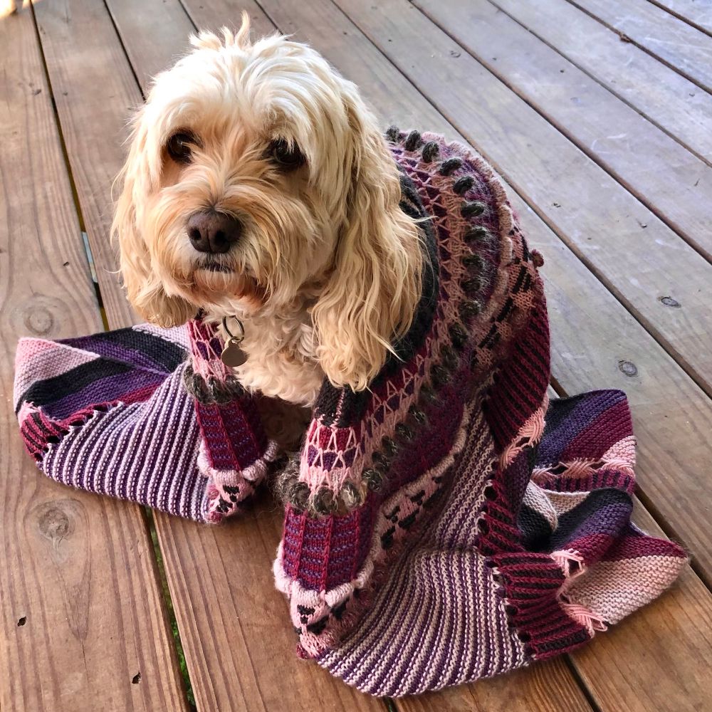 My Shawlography as I originally knit it, wrapped around my stoic blonde cockapoo. Good girl, Kiko.  I’ll take it off soon, I promise. With the flipped brioche colors, the cherry yarn in the brioche together with the cherry in an earlier section of red and purple were just too much of the cherry color for me.  It felt like the shawl was out of balance.

The mohair I added is a sparkly lavender grey. I held it with the black for the i-cord spiral that looks like an old telephone cord, with the cherry in the line of bobbles, and with every sixth garter stripe in the border, so it cycles through all five yarn colors.