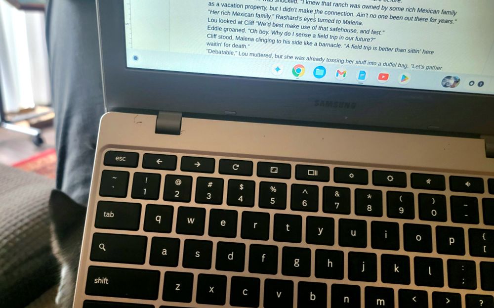 A kitten sneaking around behind my laptop.