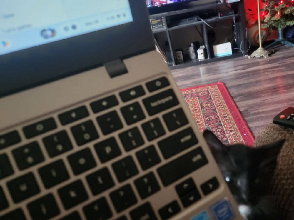 a kitten peeking out from behind a laptop.