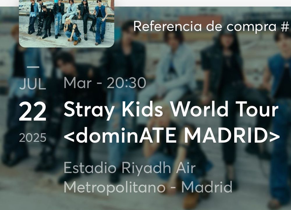 Concierto de Stray Kids en Madrid. 
