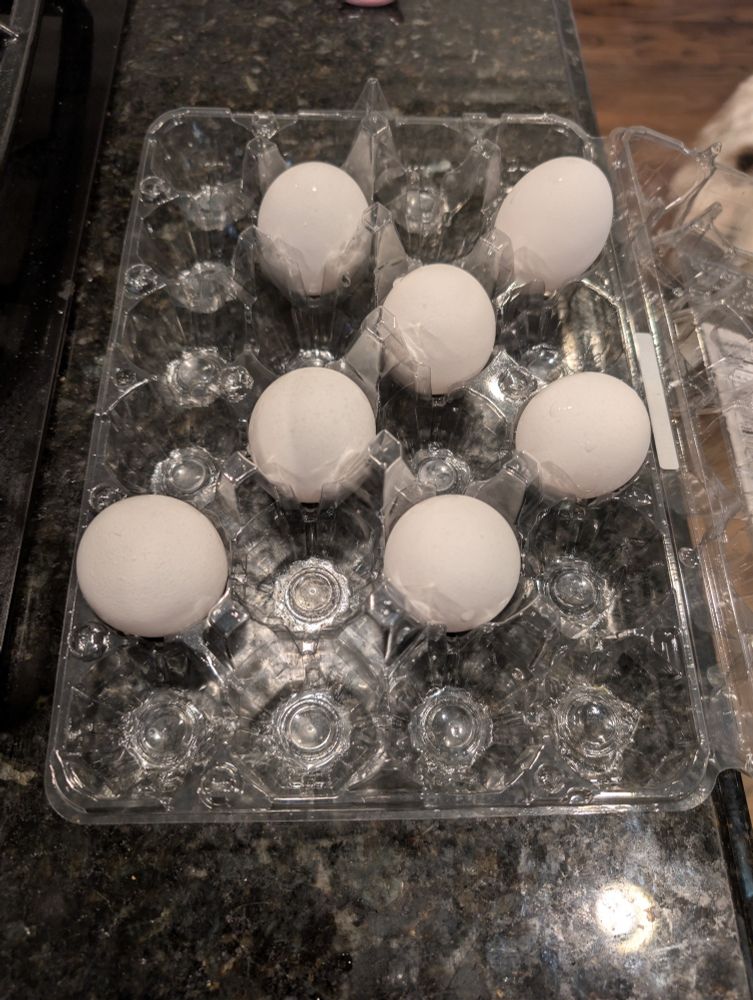 Asymmetrical eggs.
