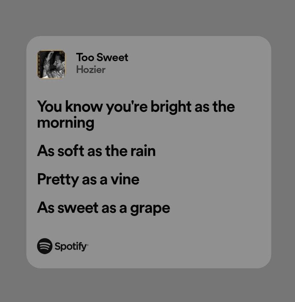 Lyrics for Too Sweet by Hozier on a grey background (lyrics provided by Spotify):
You know you’re bright as the morninh
As soft as the rain
Pretty as a vine
As sweet as a grape