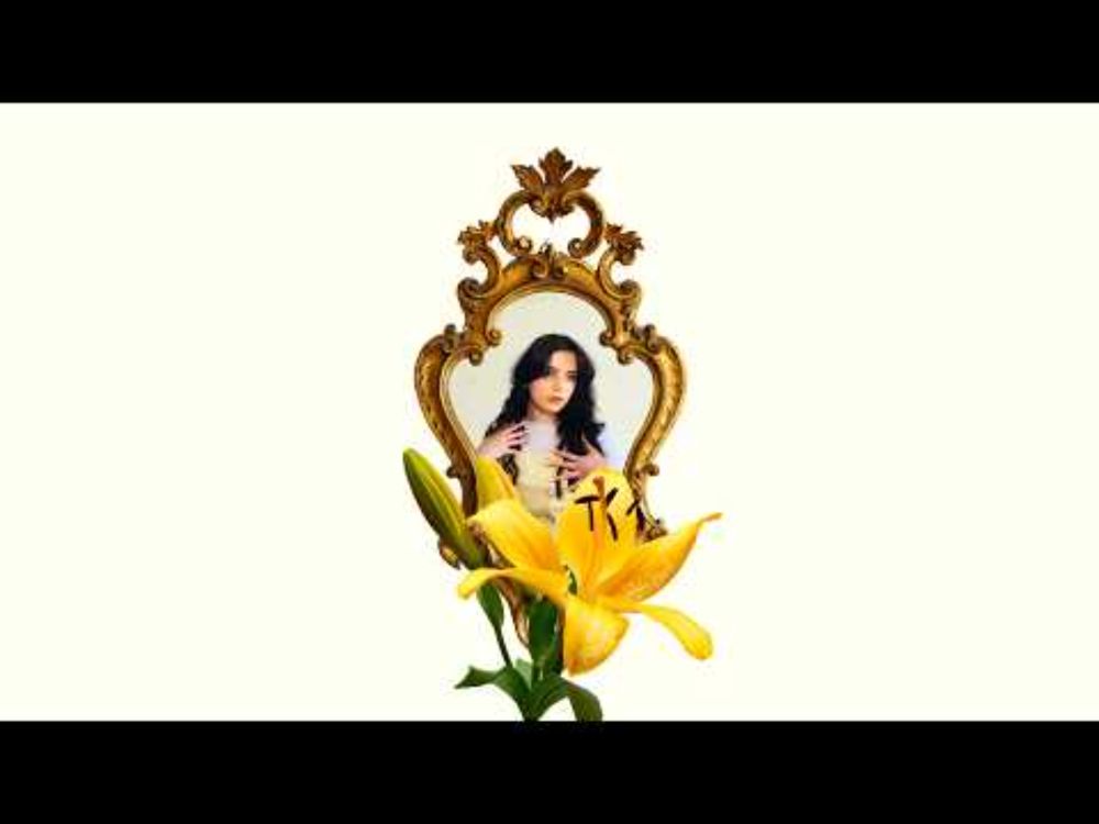 Skylar Nevaeh  - Portray Me (Lyrics Video)