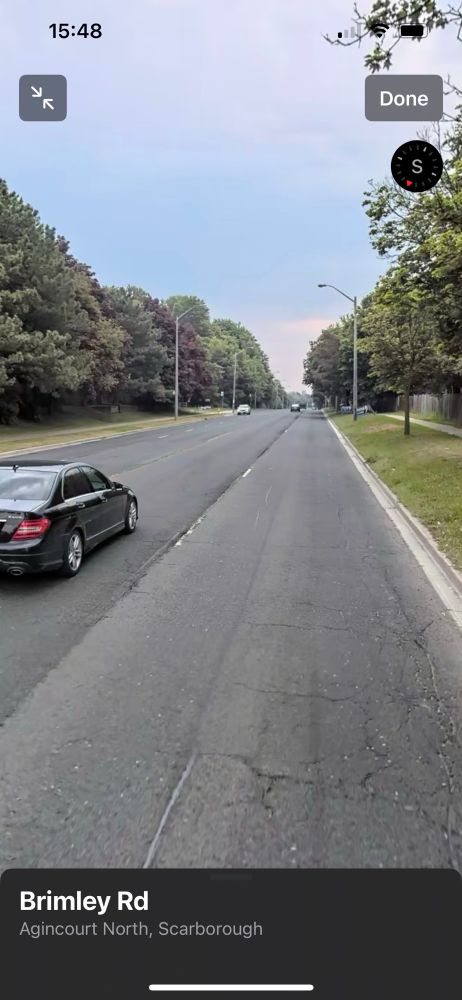 Empty stretch of Brimley Road, tree lined. 