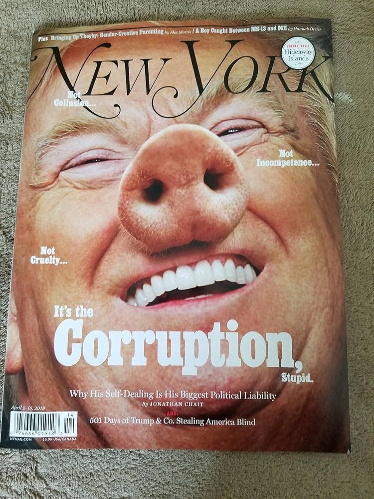 Fake cover of New York magazine shows Trump's photo with his nose replaced by a pig's nose. The caption reads "Corruption".