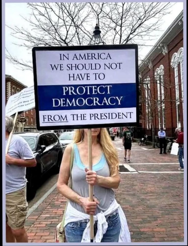 A woman is holding a protest sign that reads "in america we should not have to protect democracy from the president"