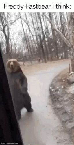 Bear running upright across a trail in the view of a bus window. A white caption bar above the image reads "Freddy Fastbear I think:"