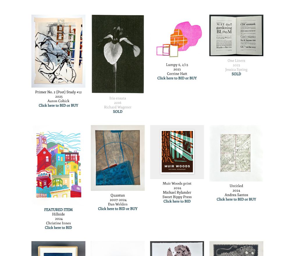 A screenshot showing various artworks displayed on the silent auction page for the In Cahoots Residency fundraiser. 