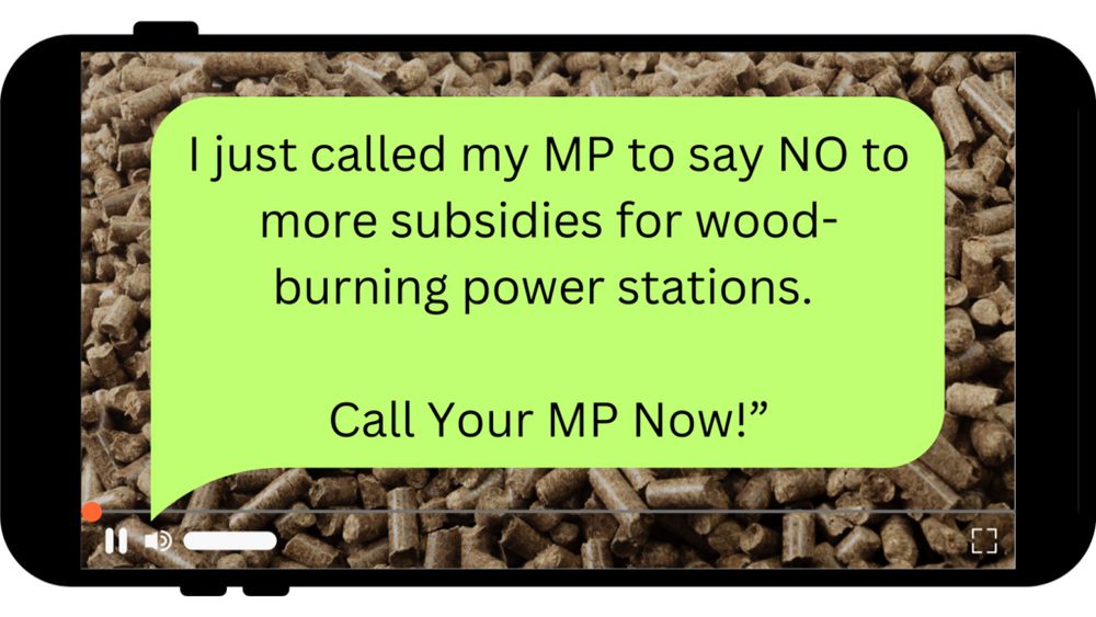 I just called my MP to say NO to more subsidies for wood-burning power stations. Call Your MP Now. Courtesy of biofuelwatch UK
