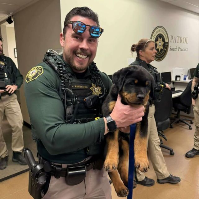A smiling deputy in a green uniform holds a Rottweiler puppy in both arms inside a patrol office. The deputy is wearing sunglasses on his head and other deputies are visible in the background near desks and computers. The Sheriff’s Office logo is on the wall behind them.