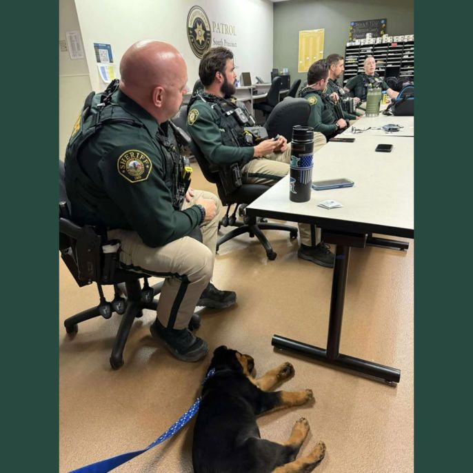 Several deputies in green uniforms sit around a table in a patrol office while a young Rottweiler puppy lies on the floor on a blue leash. The deputies appear relaxed and engaged in conversation. The Sheriff’s Office logo is visible on the wall in the background.